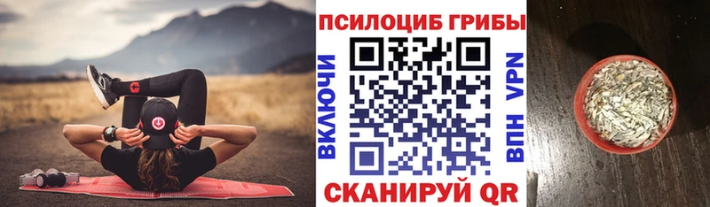 Псилоцибиновые грибы Magic Shrooms  Нюрба 